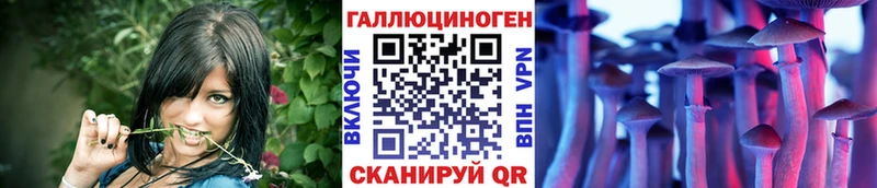 цена   Рузаевка  Галлюциногенные грибы мицелий 