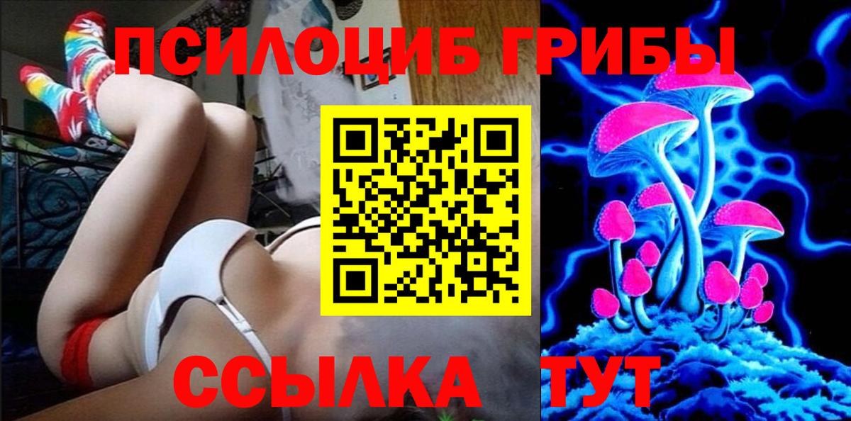 Галлюциногенные грибы Psilocybe Рузаевка